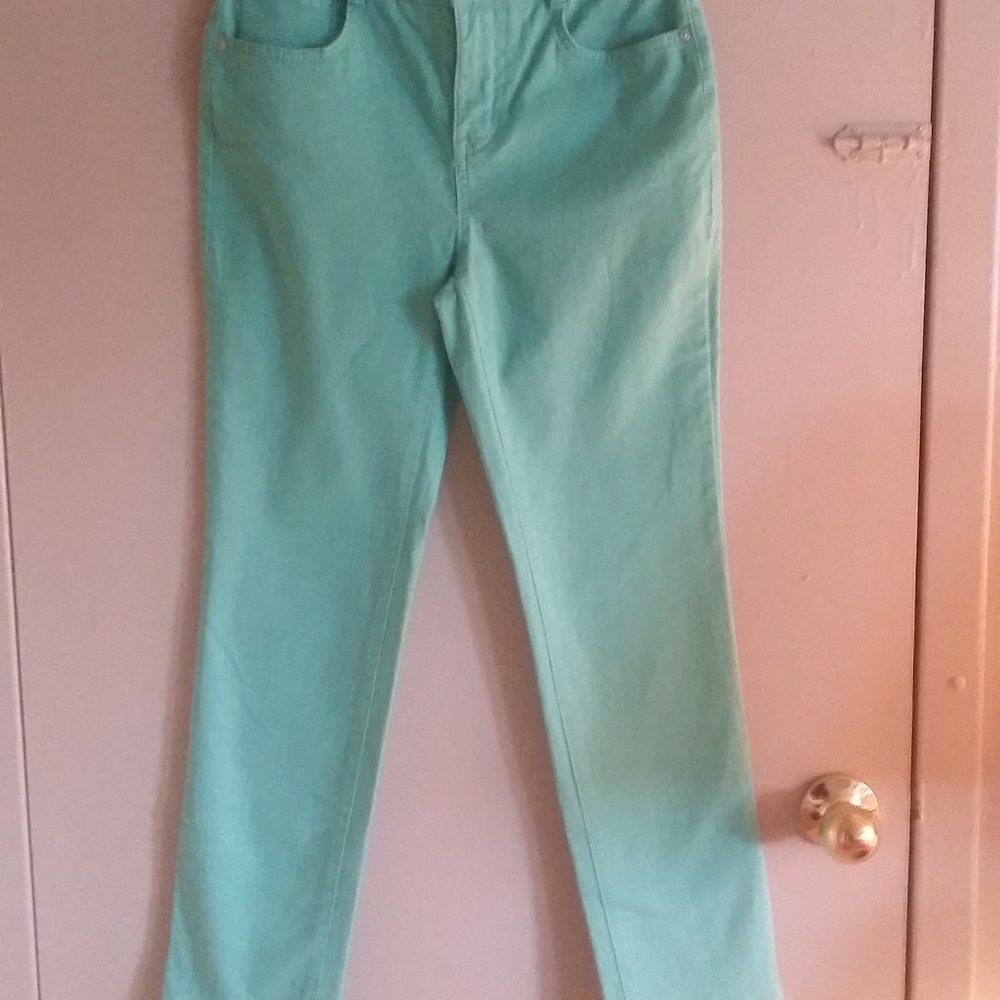 NWOT Style & Co Tummy Control High Rise Slim Leg Jeans